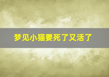 梦见小猫要死了又活了