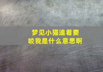 梦见小猫追着要咬我是什么意思啊