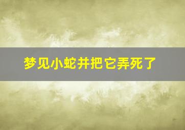 梦见小蛇并把它弄死了