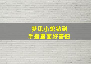 梦见小蛇钻到手指里面好害怕