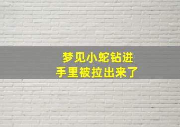 梦见小蛇钻进手里被拉出来了