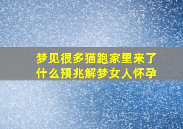 梦见很多猫跑家里来了什么预兆解梦女人怀孕