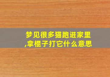 梦见很多猫跑进家里,拿棍子打它什么意思