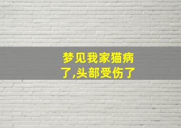 梦见我家猫病了,头部受伤了