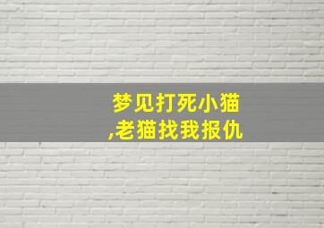 梦见打死小猫,老猫找我报仇