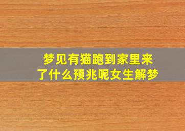 梦见有猫跑到家里来了什么预兆呢女生解梦