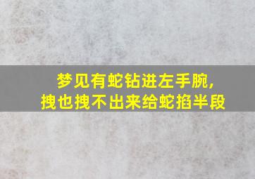 梦见有蛇钻进左手腕,拽也拽不出来给蛇掐半段