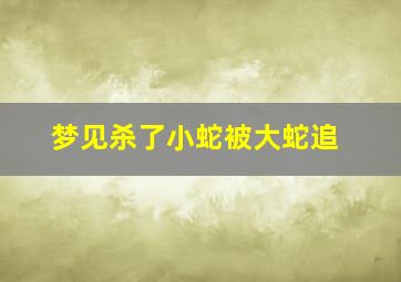 梦见杀了小蛇被大蛇追