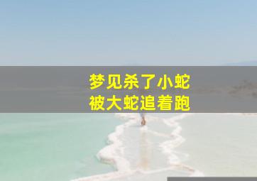 梦见杀了小蛇被大蛇追着跑