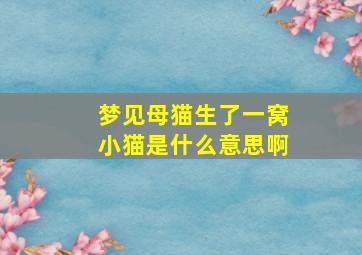 梦见母猫生了一窝小猫是什么意思啊