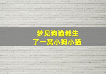 梦见狗猫都生了一窝小狗小猫