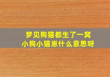 梦见狗猫都生了一窝小狗小猫崽什么意思呀