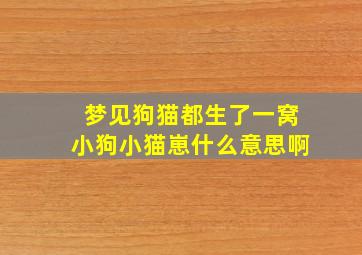 梦见狗猫都生了一窝小狗小猫崽什么意思啊