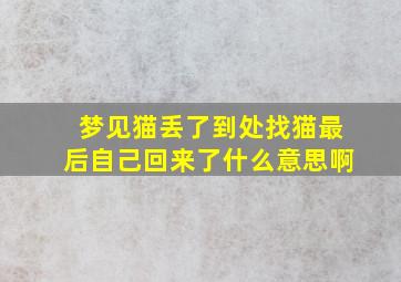 梦见猫丢了到处找猫最后自己回来了什么意思啊