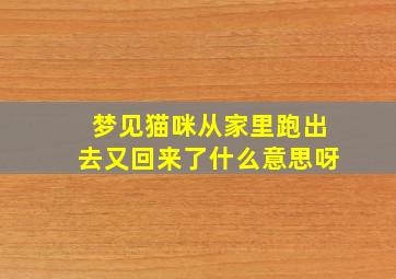 梦见猫咪从家里跑出去又回来了什么意思呀