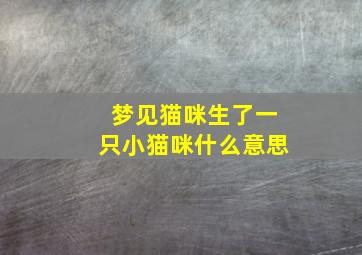 梦见猫咪生了一只小猫咪什么意思