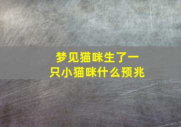 梦见猫咪生了一只小猫咪什么预兆