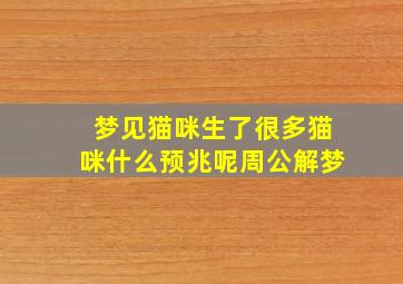 梦见猫咪生了很多猫咪什么预兆呢周公解梦