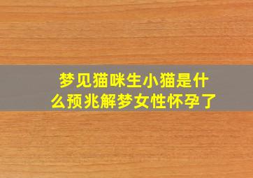 梦见猫咪生小猫是什么预兆解梦女性怀孕了