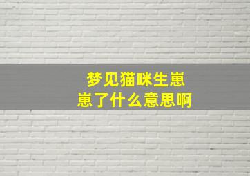 梦见猫咪生崽崽了什么意思啊