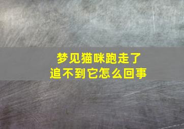 梦见猫咪跑走了追不到它怎么回事