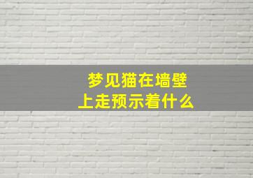 梦见猫在墙壁上走预示着什么