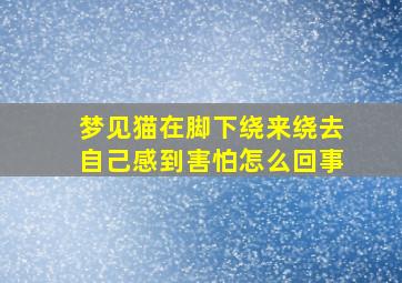 梦见猫在脚下绕来绕去自己感到害怕怎么回事