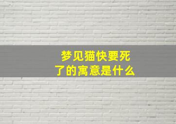 梦见猫快要死了的寓意是什么