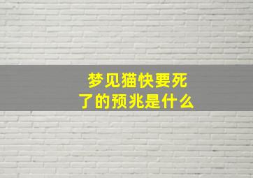 梦见猫快要死了的预兆是什么