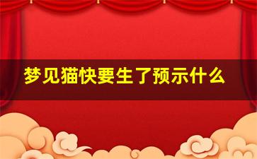 梦见猫快要生了预示什么