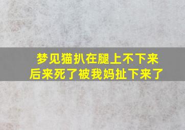 梦见猫扒在腿上不下来后来死了被我妈扯下来了