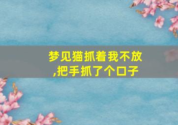 梦见猫抓着我不放,把手抓了个口子