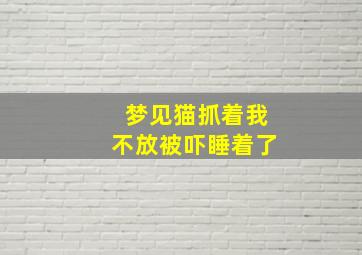 梦见猫抓着我不放被吓睡着了