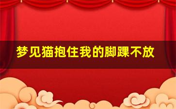 梦见猫抱住我的脚踝不放