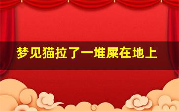 梦见猫拉了一堆屎在地上