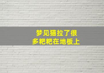 梦见猫拉了很多粑粑在地板上