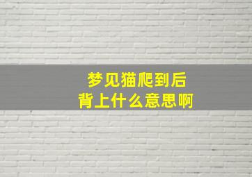 梦见猫爬到后背上什么意思啊