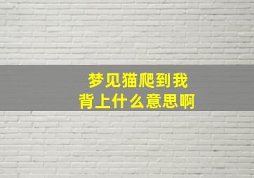 梦见猫爬到我背上什么意思啊