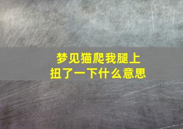 梦见猫爬我腿上扭了一下什么意思