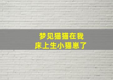 梦见猫猫在我床上生小猫崽了