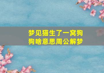 梦见猫生了一窝狗狗啥意思周公解梦