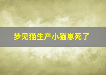 梦见猫生产小猫崽死了