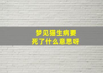 梦见猫生病要死了什么意思呀