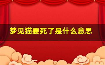 梦见猫要死了是什么意思