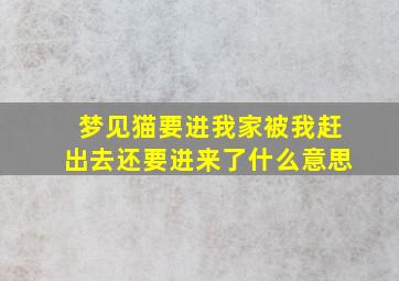 梦见猫要进我家被我赶出去还要进来了什么意思