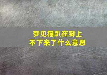 梦见猫趴在脚上不下来了什么意思