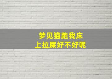 梦见猫跑我床上拉屎好不好呢