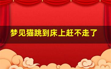 梦见猫跳到床上赶不走了