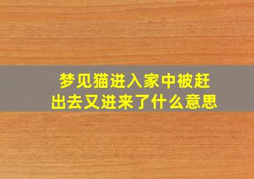 梦见猫进入家中被赶出去又进来了什么意思