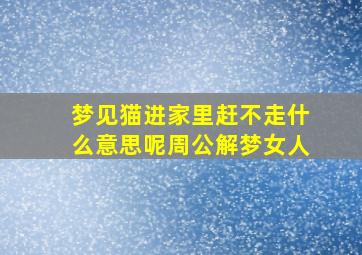 梦见猫进家里赶不走什么意思呢周公解梦女人